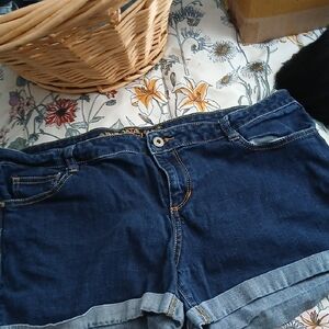 Arizona Jean Company Dark Blue Women's Jean Shorts